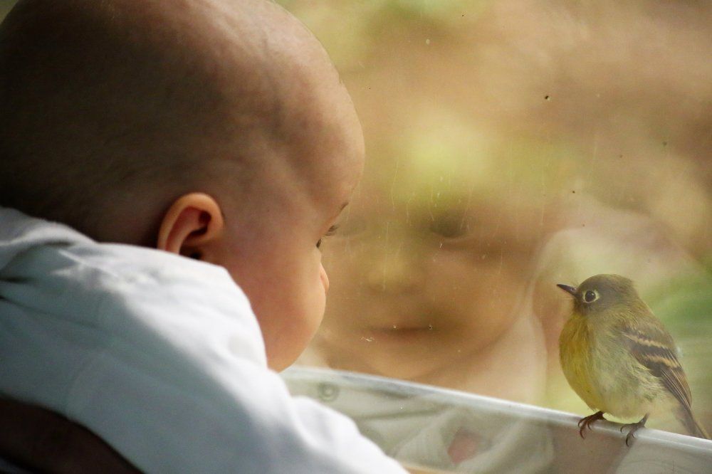 Мы раньше астречались?