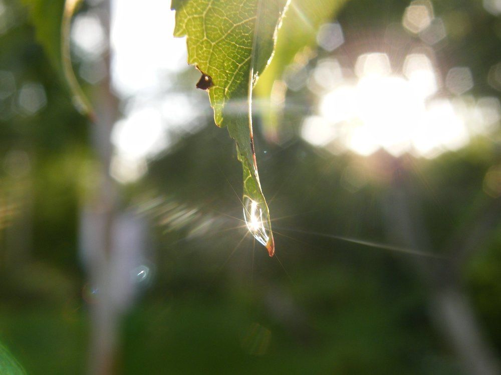 Photo #1966613