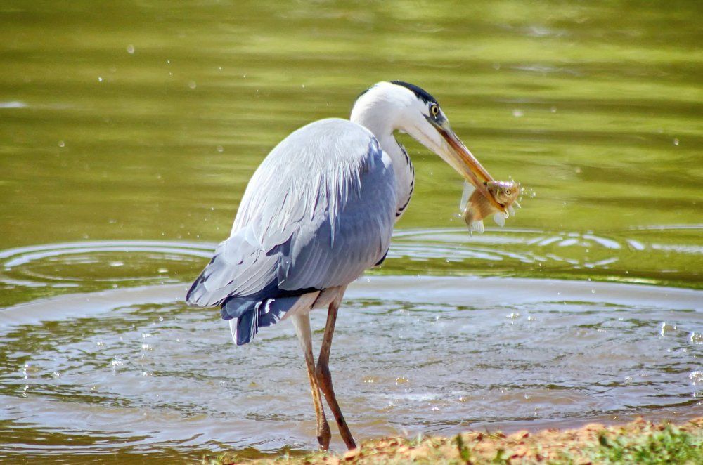 Photograph by Kristijan Siladić
