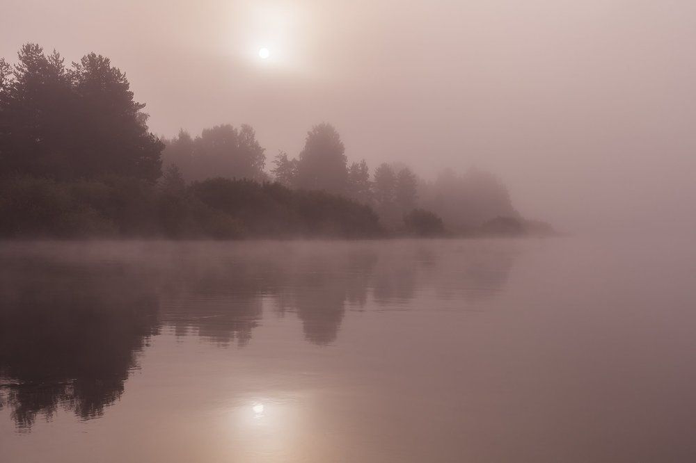 Сиреневый туман...