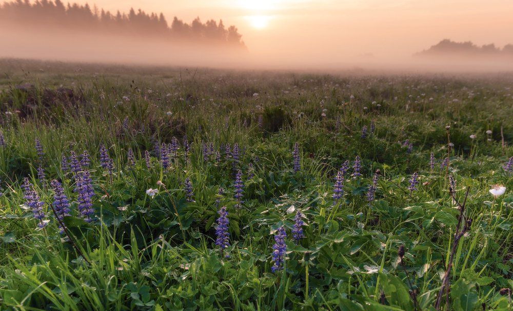 На рассвете