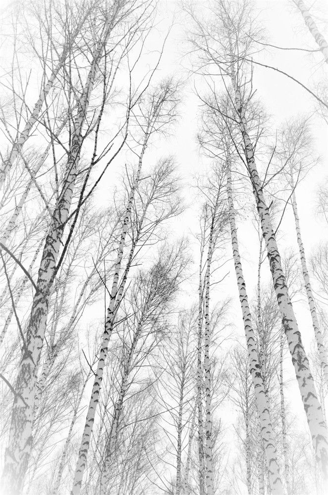 штрихи и черточки