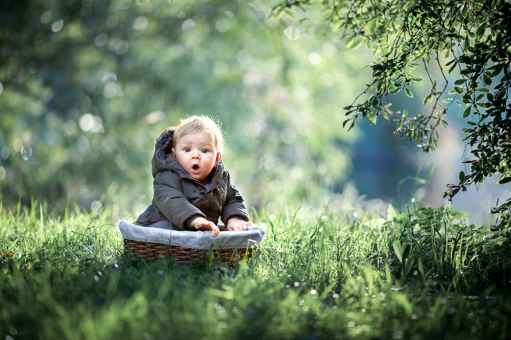 Photograph by Елена Силина