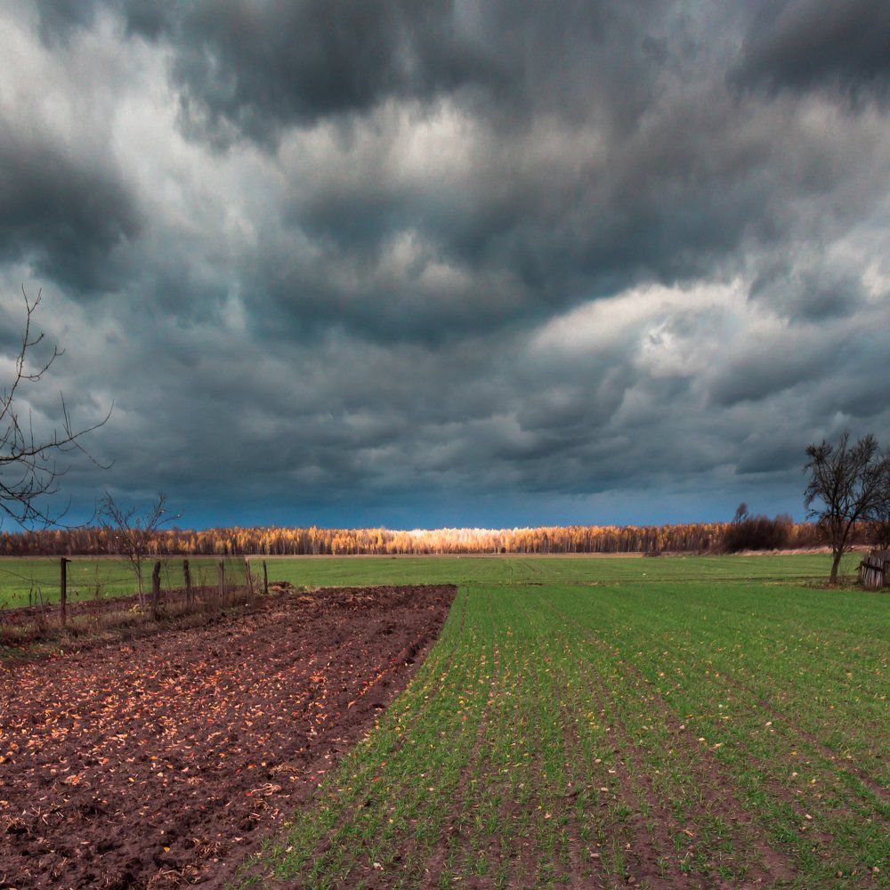 Photograph by Роман