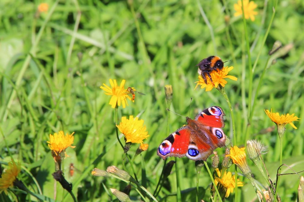 осенний блюз...