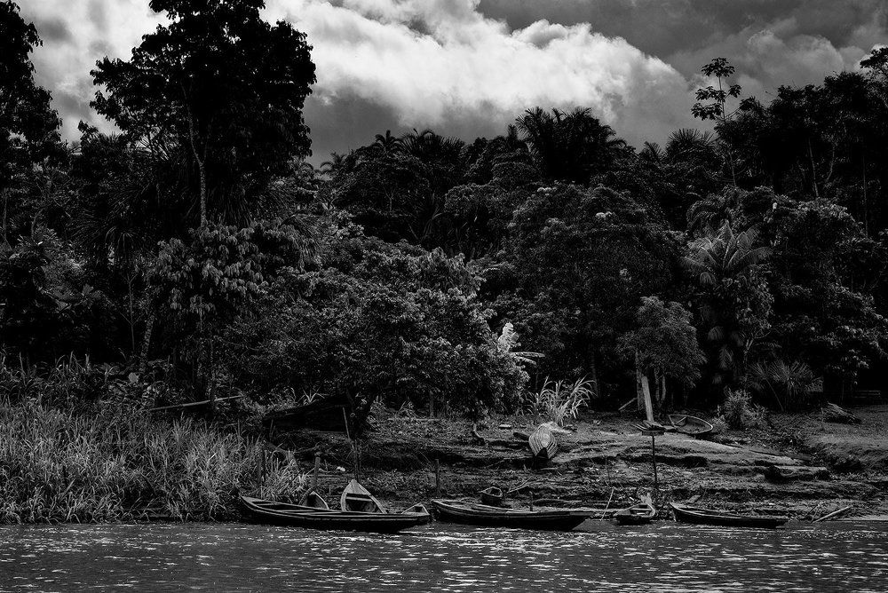 Amazonas