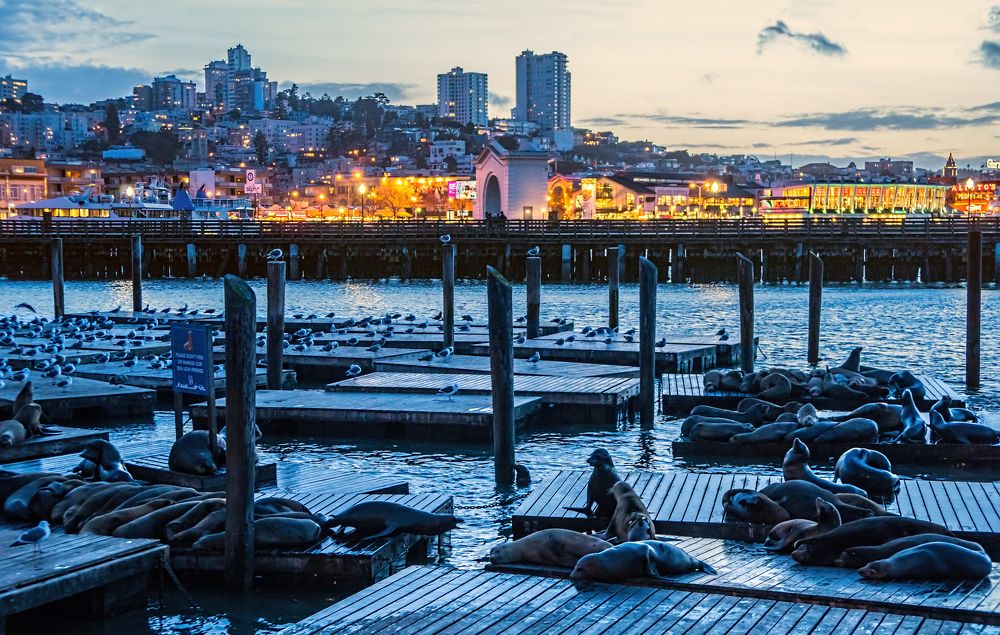 Пирс 39. Сан-Франциско. Калифорния.