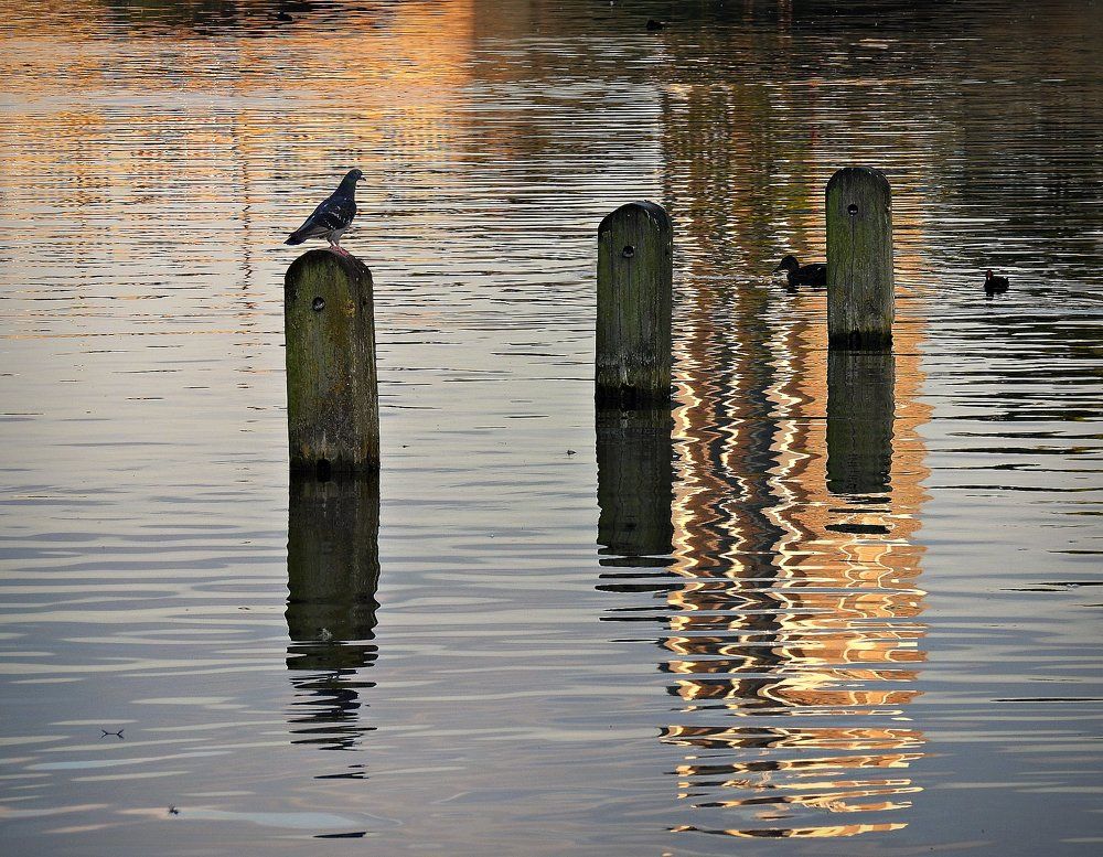 Вечерние посиделки...
