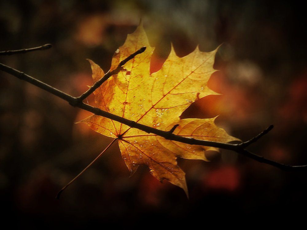 Одиночество