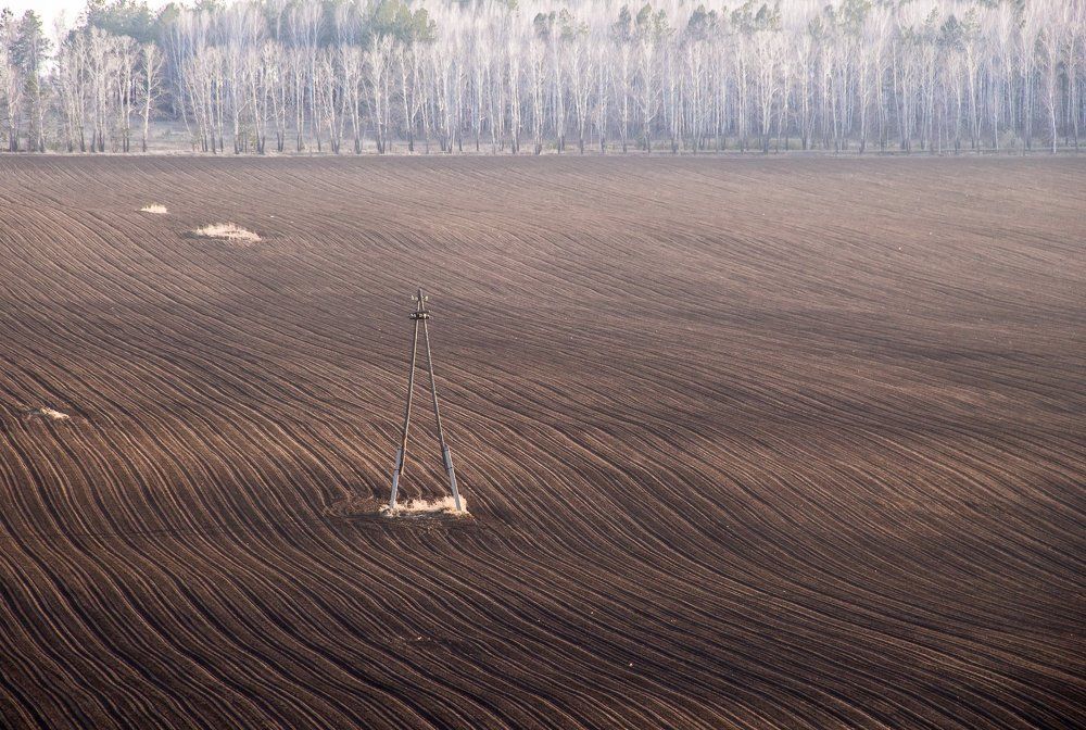 В ожидании посевной