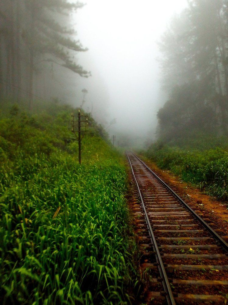 Alone in the mist