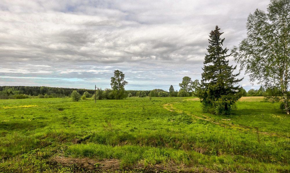 Отчуждение