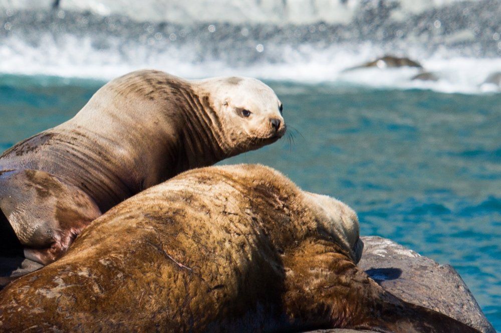 Опять тут этот фотограф...