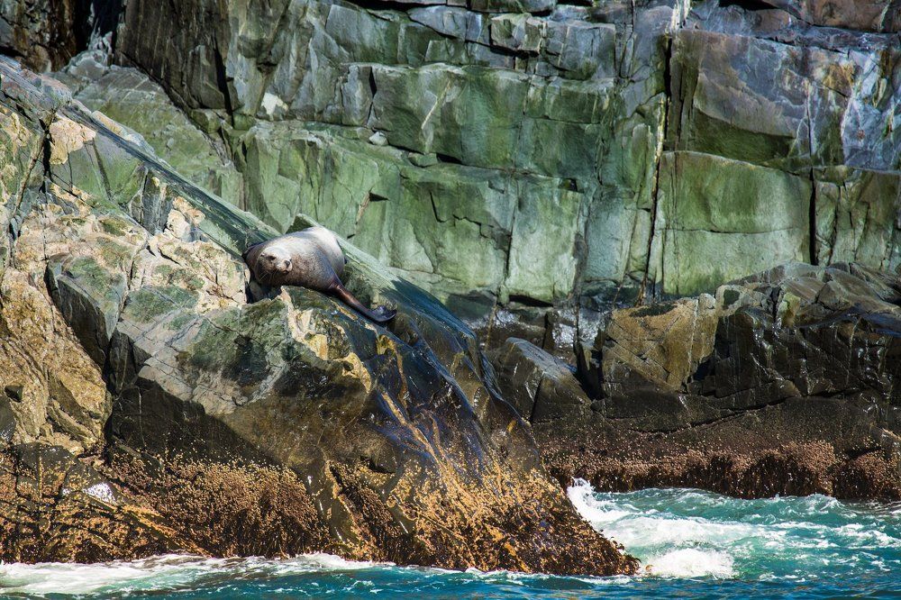 Солнечные ванны