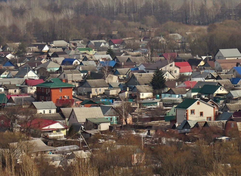 Муравейник