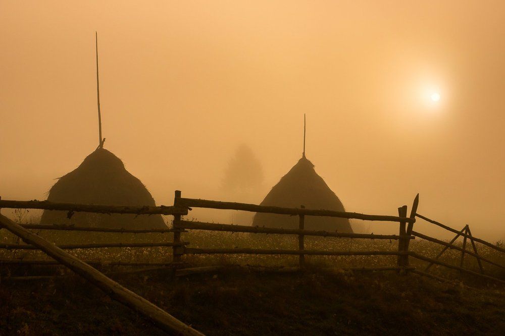 Туманное утро