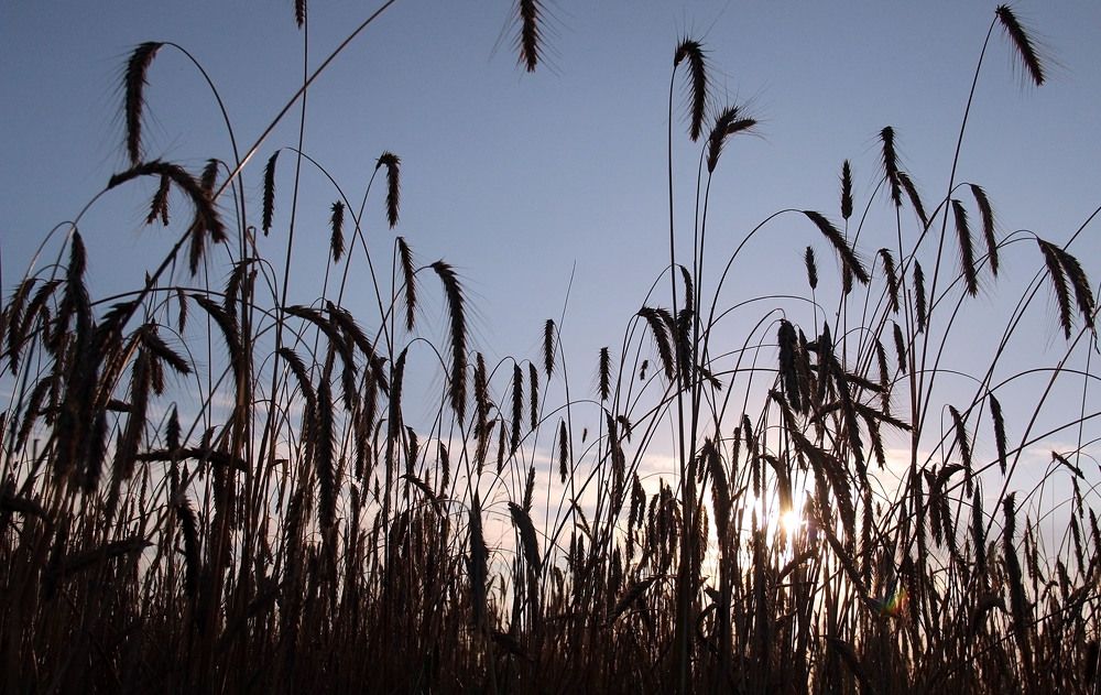 На закате ...