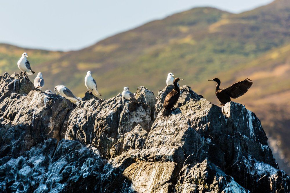 Жизнь кипит