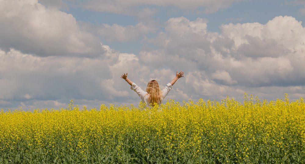 Blue Skies and a Sea of Yellow