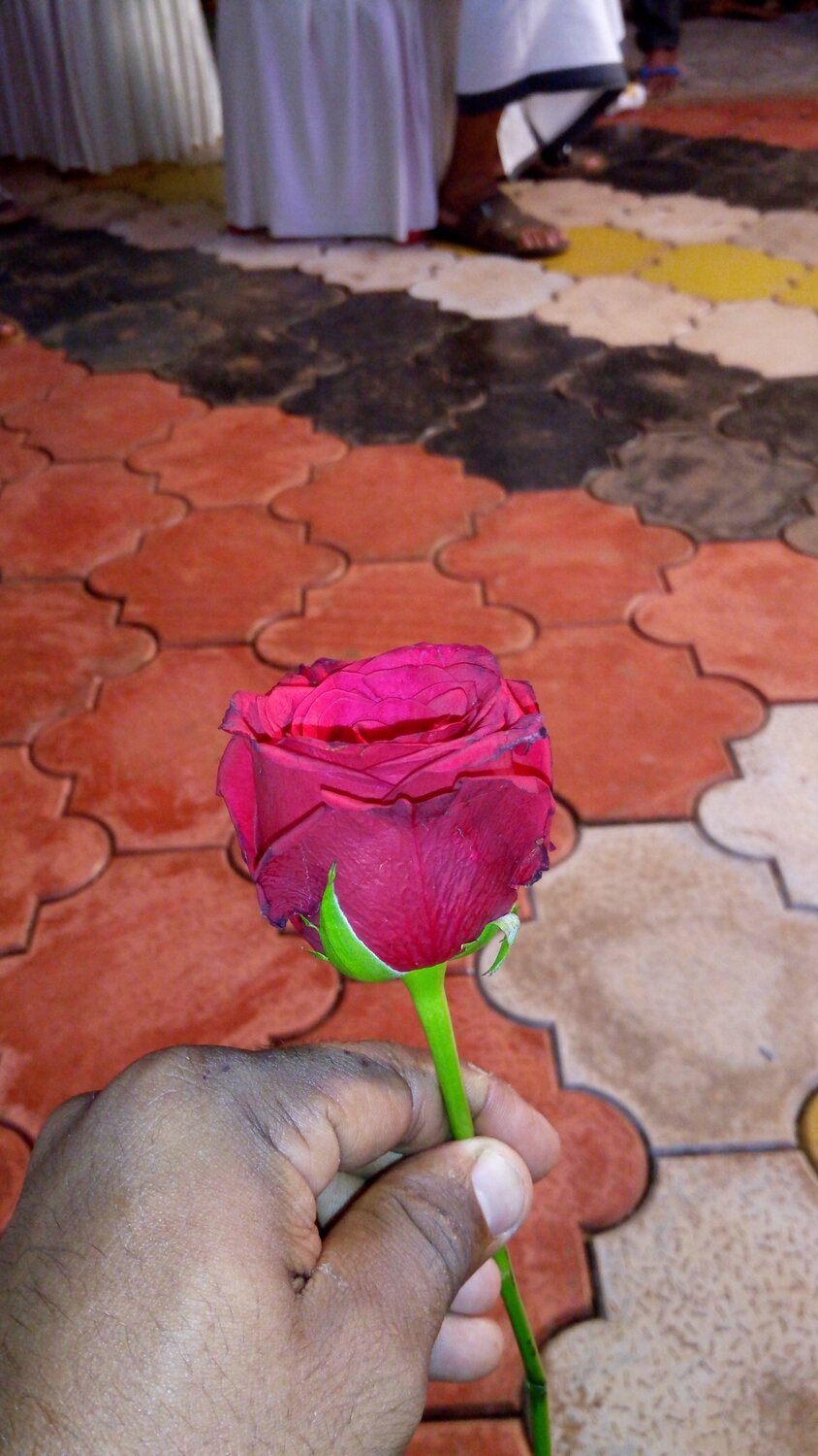 Flower