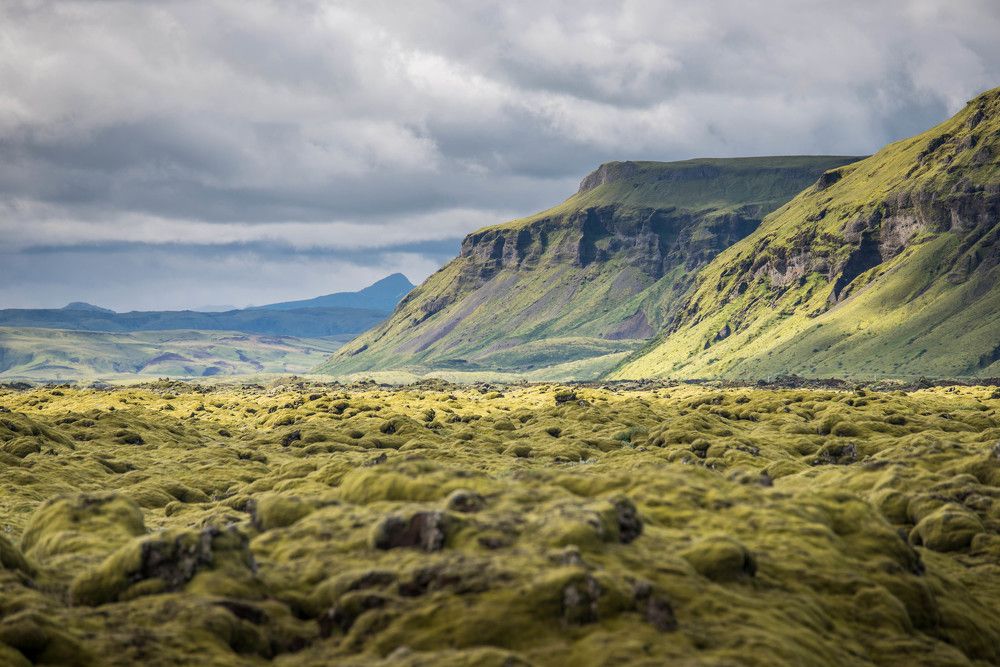 Fields of Lava