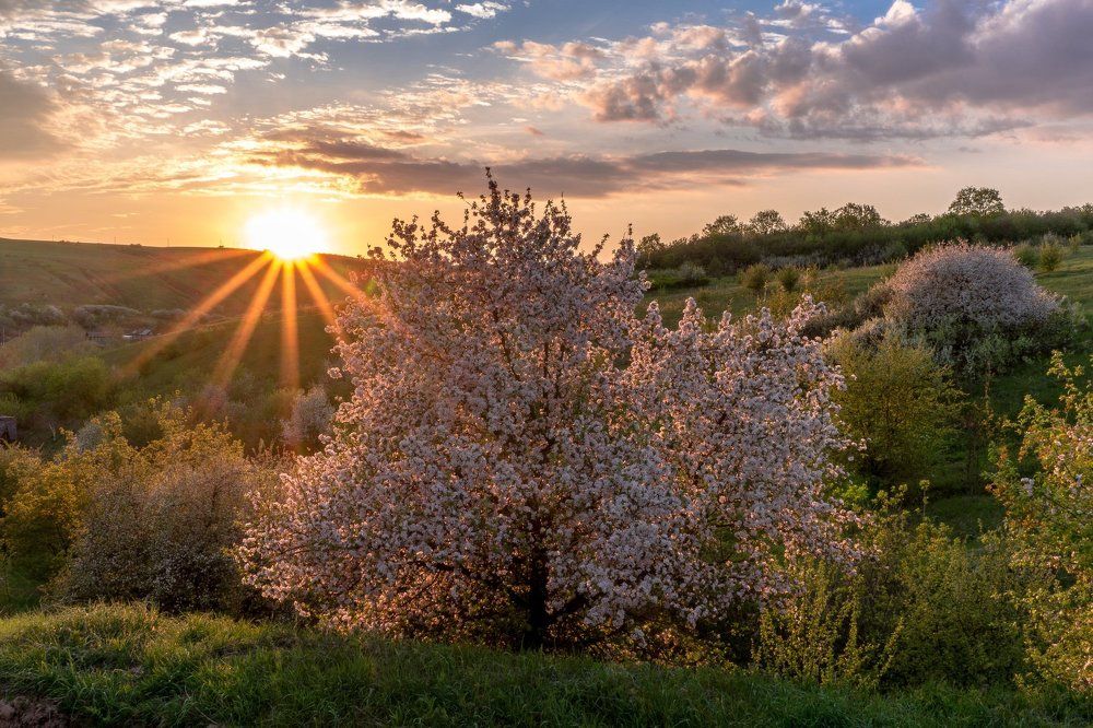 Майский закат