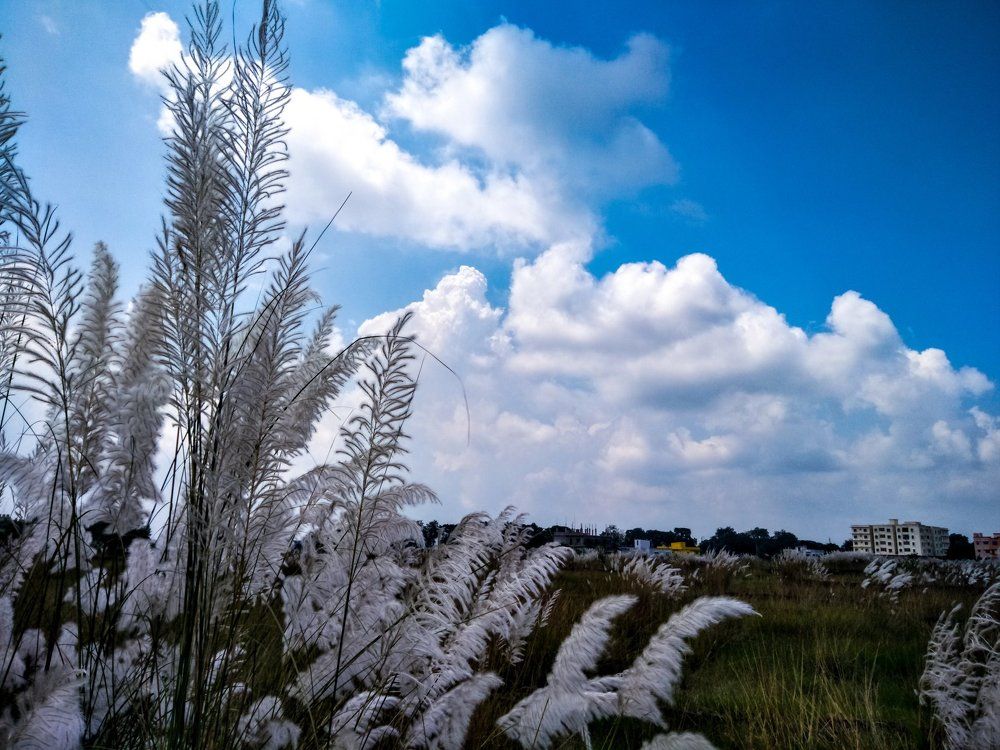 Blowing colours