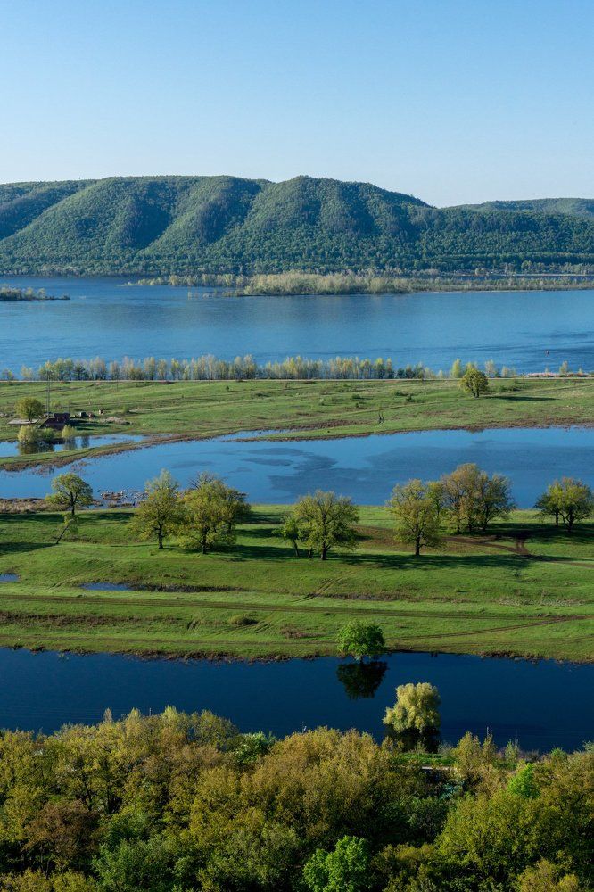 Заливные луга