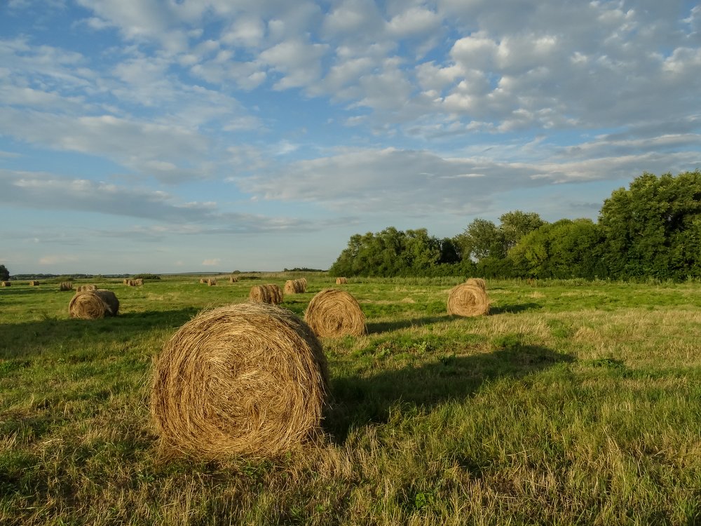 Photograph by Роман