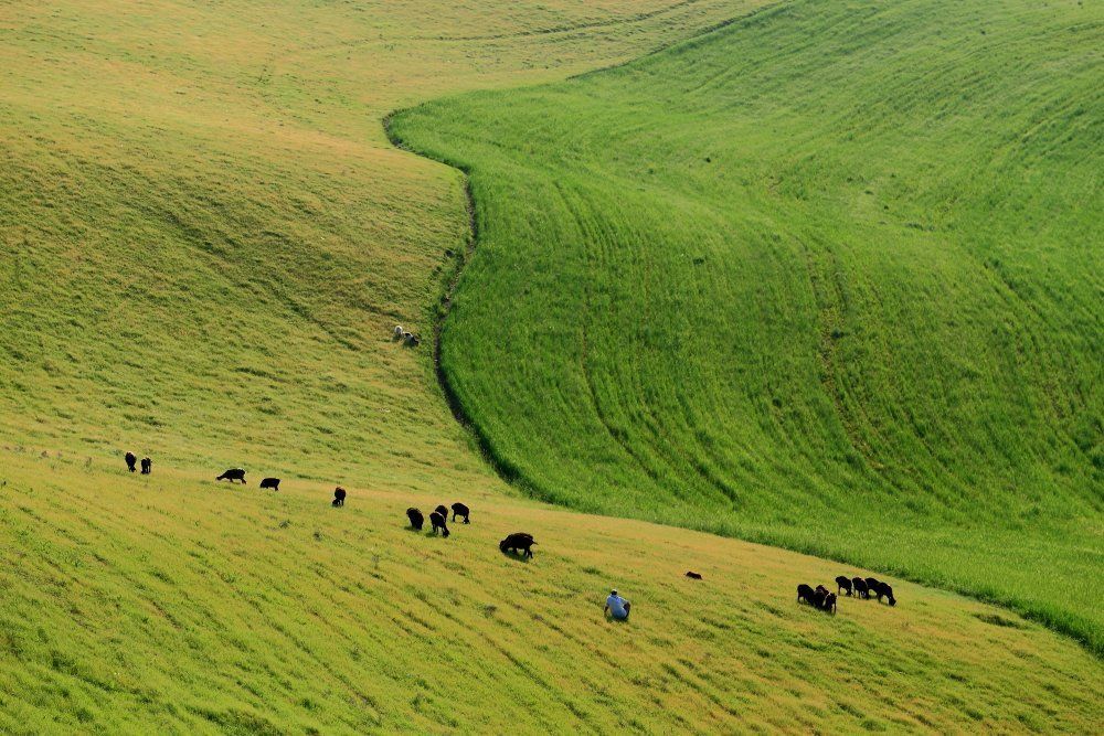 Красногорск