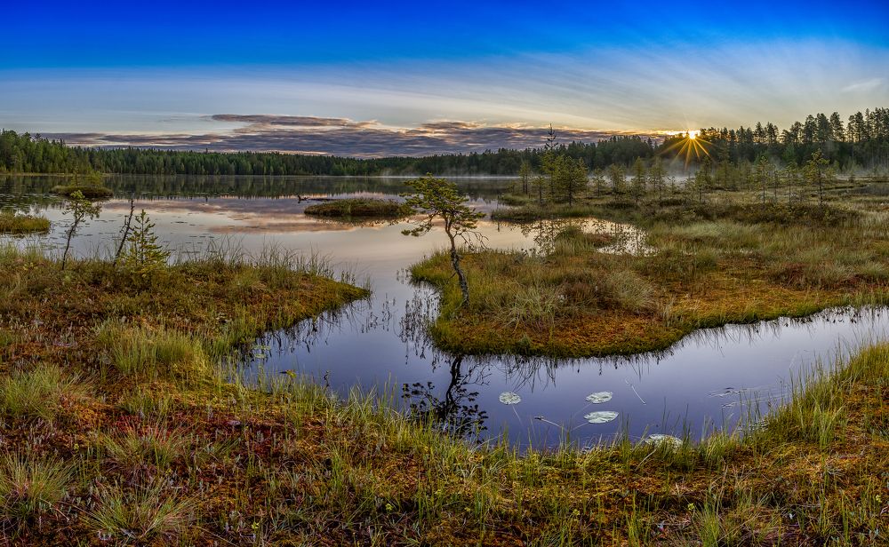 На болотном озере..