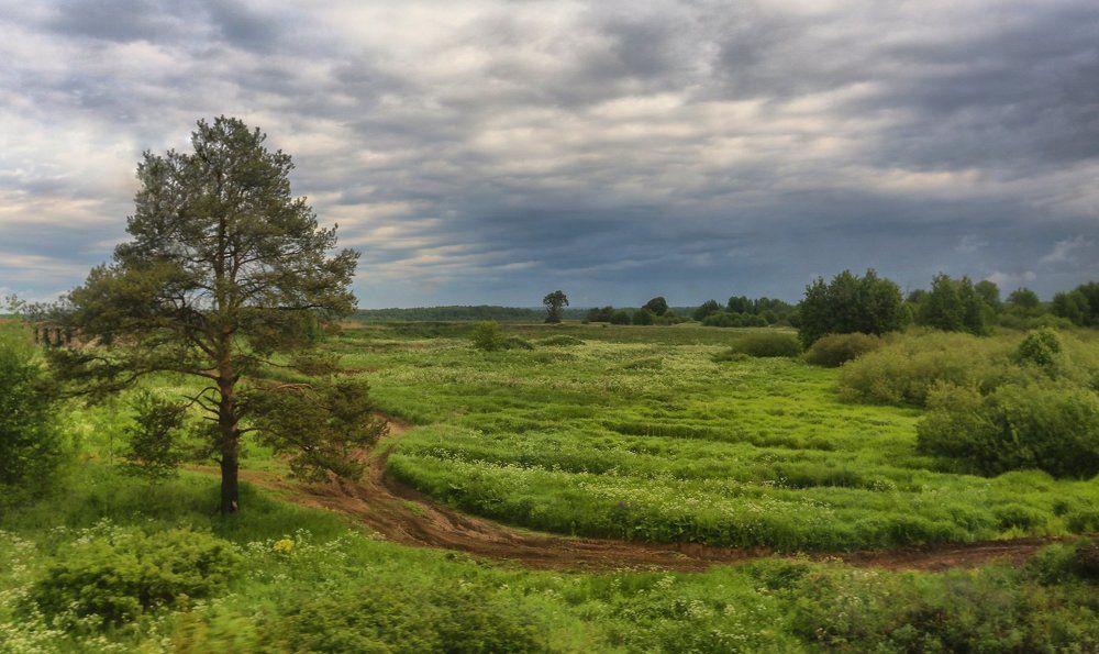 Одиночество