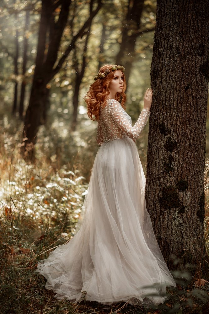 Таинственный лес