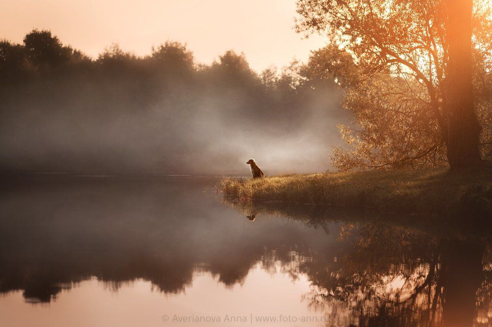 Вечером на закате