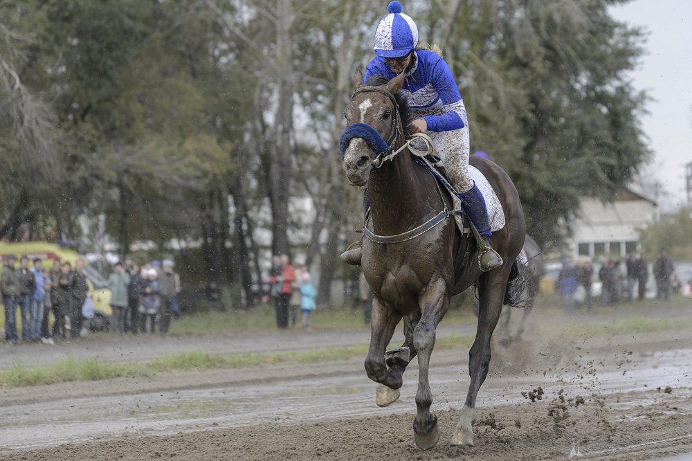 За лидером.