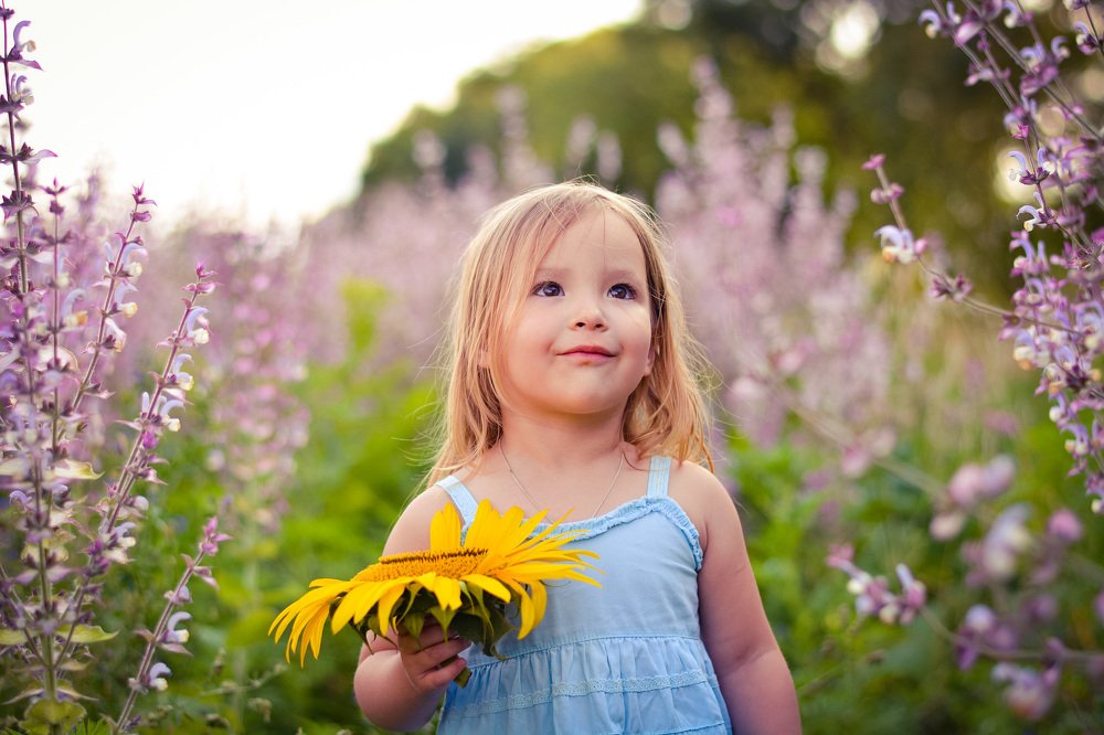 Крымское лето