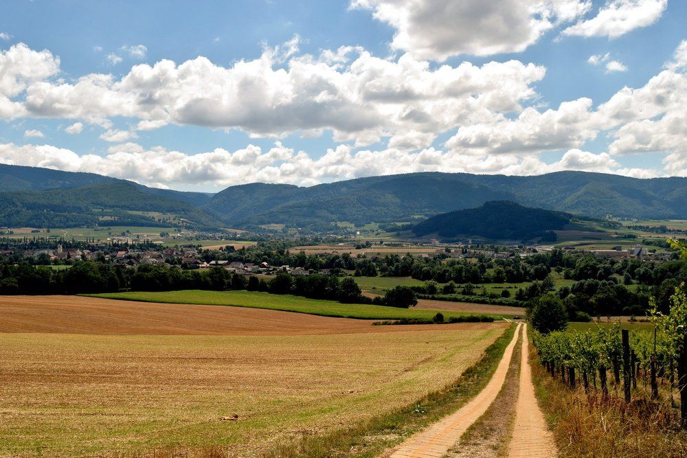 Дорога в поле