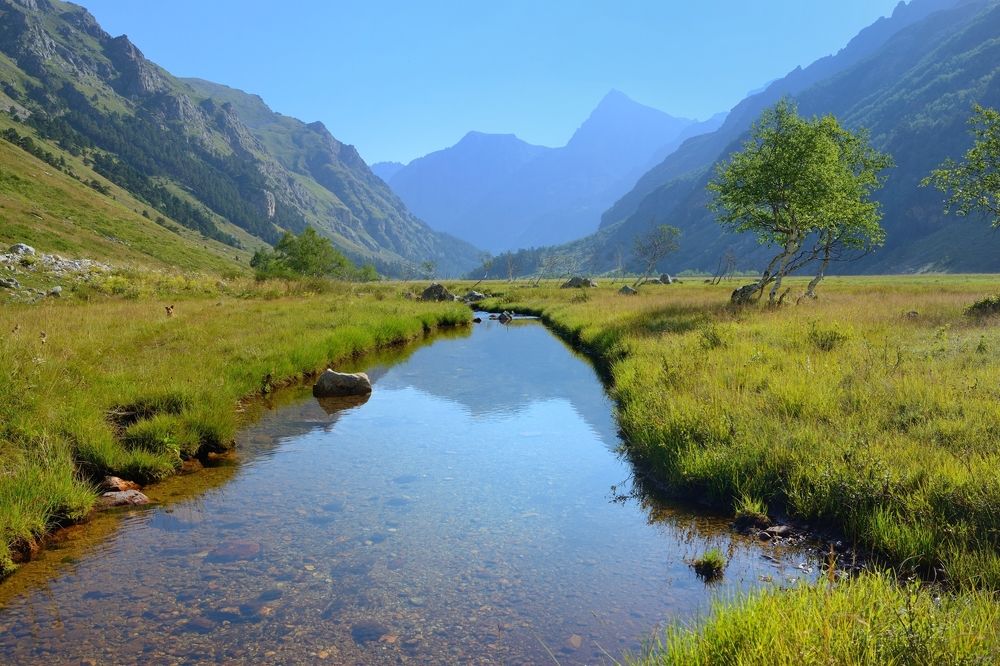 Где чистые воды