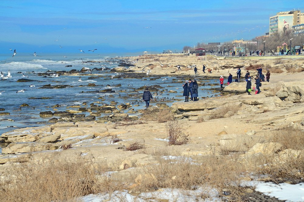 Люди и птицы