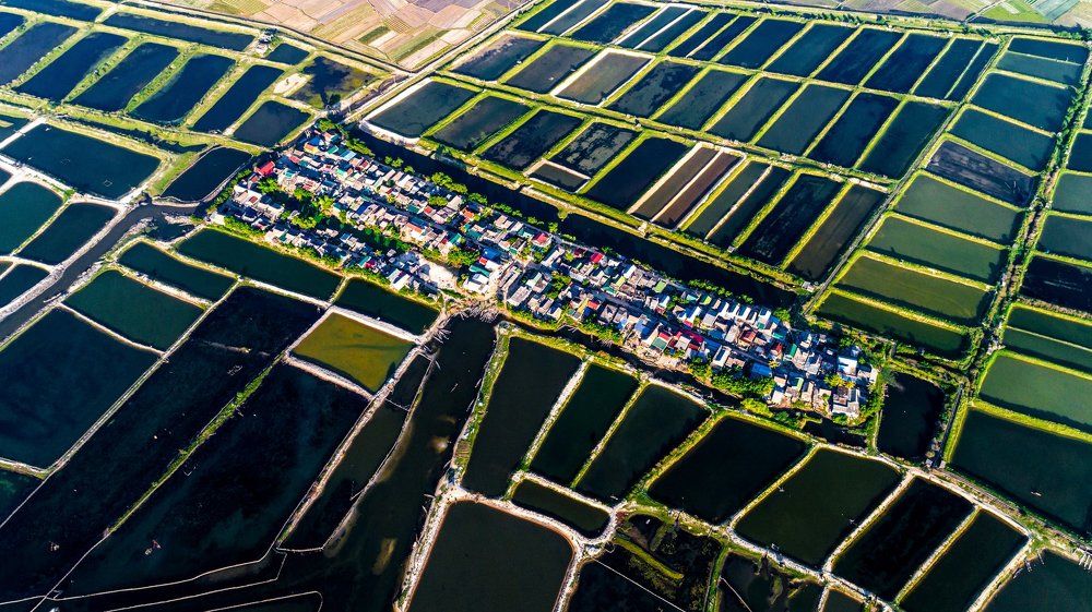 Small town in the field