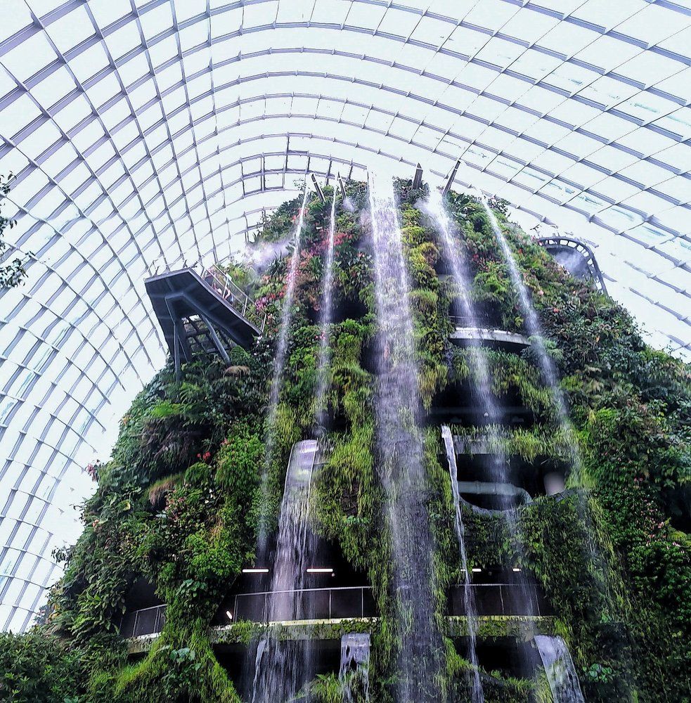 Inside Mist