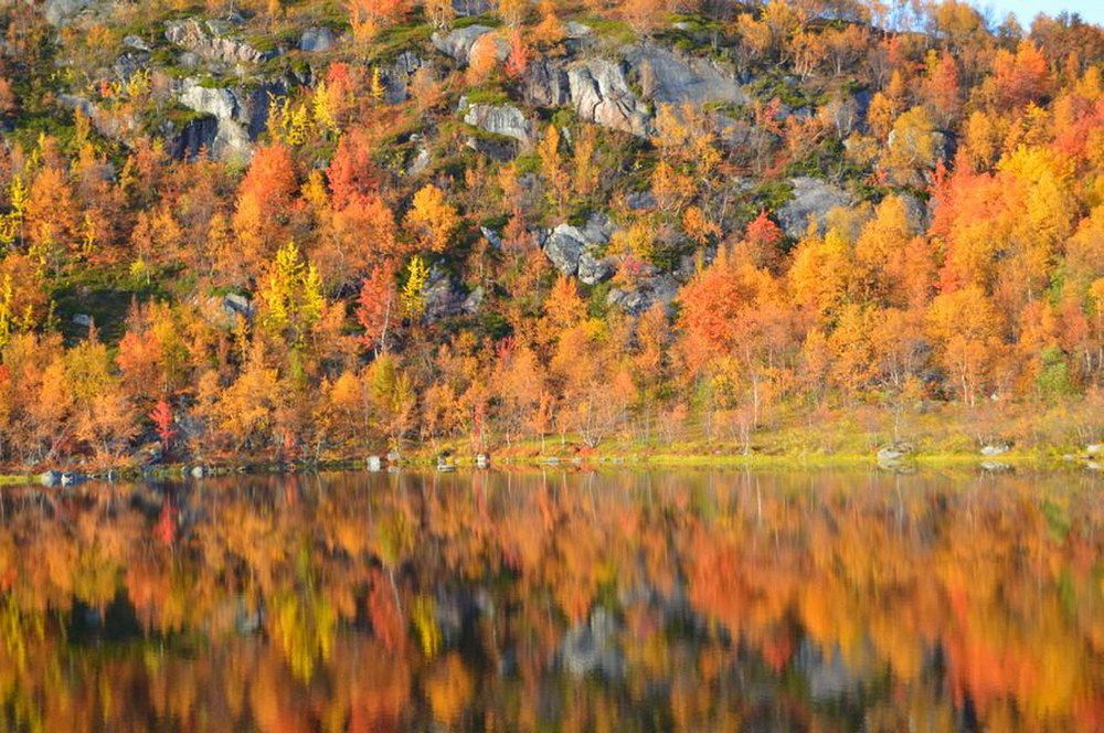 Осеннее отражение