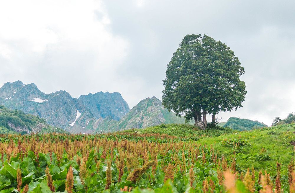 Photograph by Антон