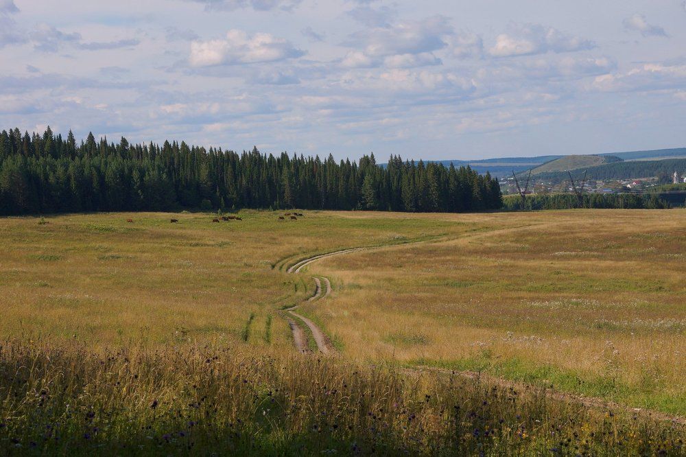 Пермский Край