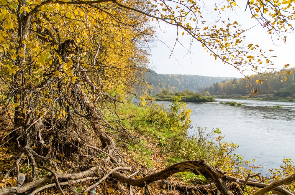 Осень. Река Юрюзань.