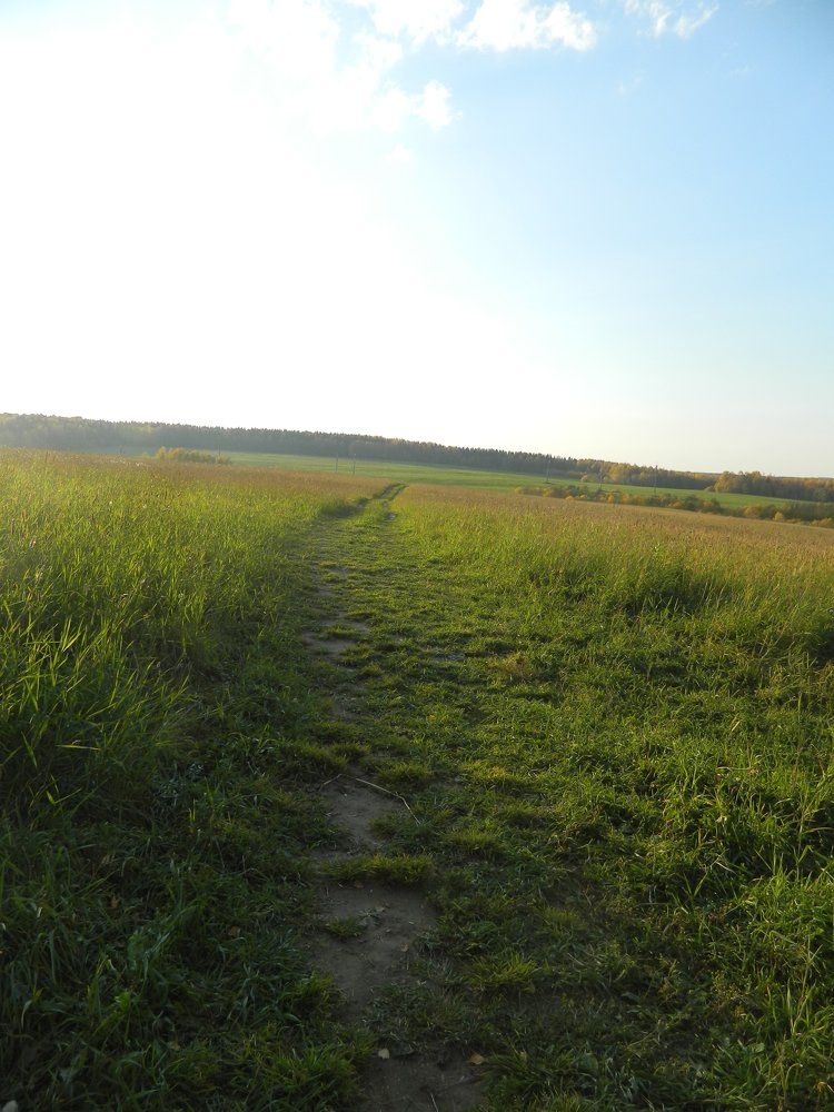 Утренняя прогулка