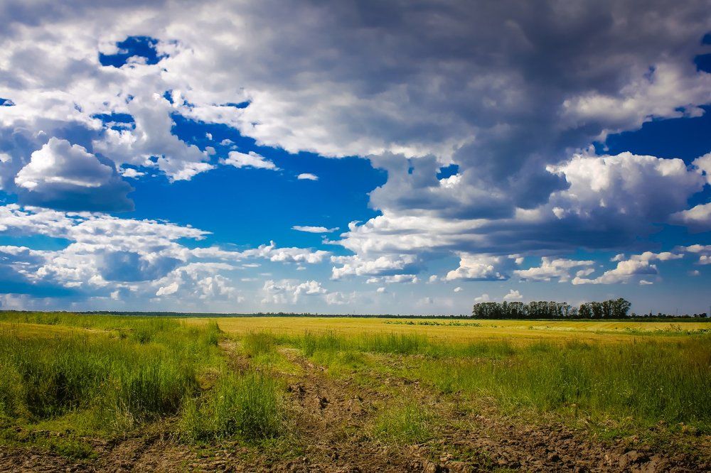 Деревенские виды