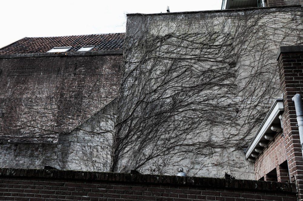 Графика "Руками и природой"