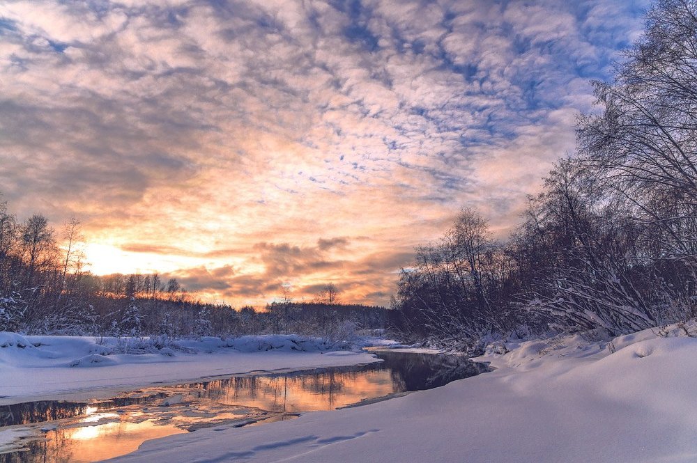 зимнее утро