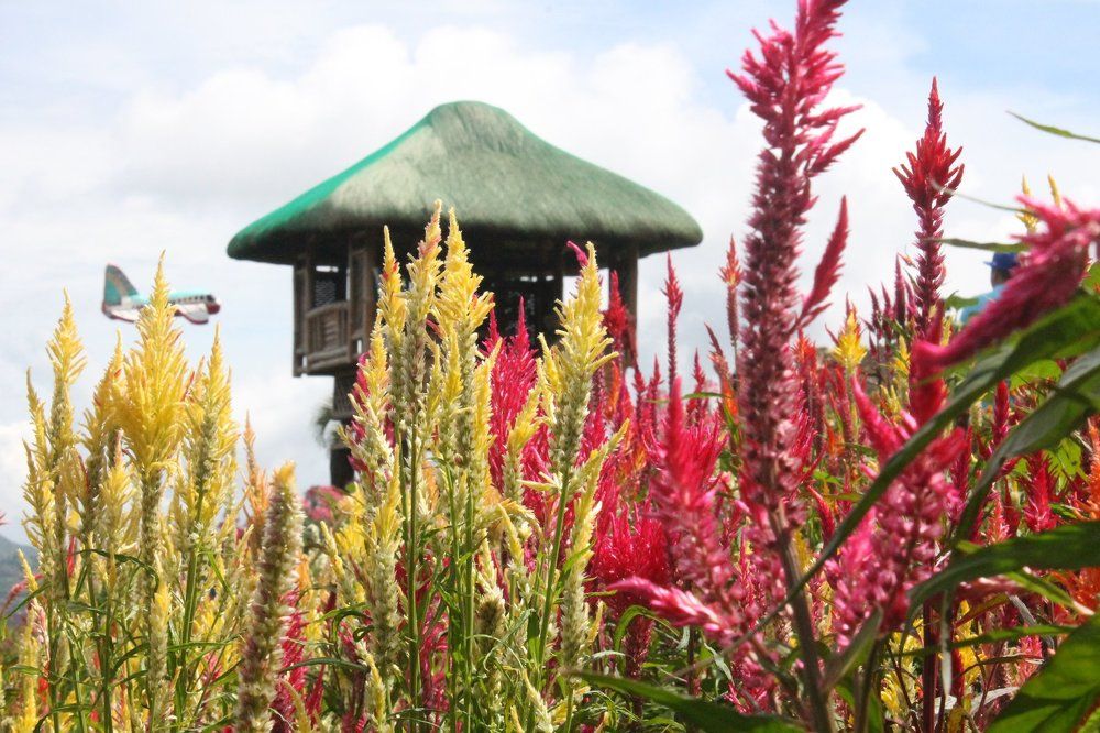 Sirao Garden